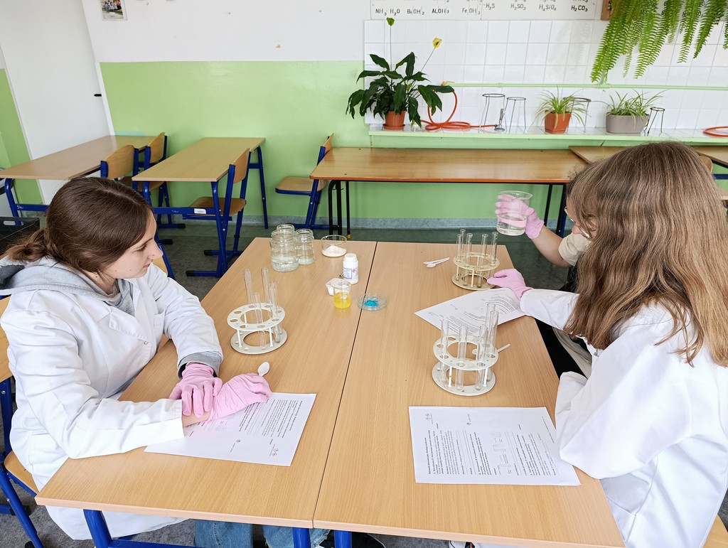 „Edukacja włączająca w gorlickich szkołach podstawowych” - zajęcia matematyczno–przyrodnicze