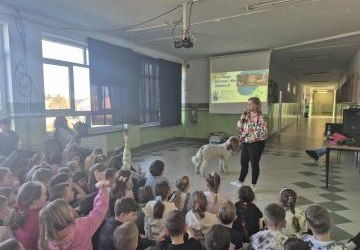Spotkanie uczniów klas 1–3 z wolontariuszką Fundacji „PSYstań”