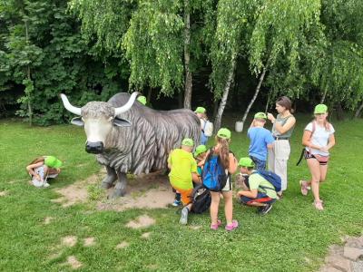 thumbnail (28).jpg