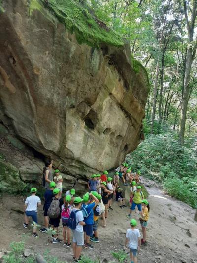 thumbnail (7).jpg